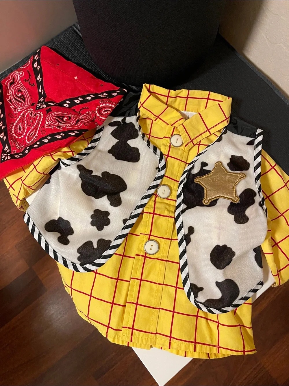 Toy Story- 2T Woody costume